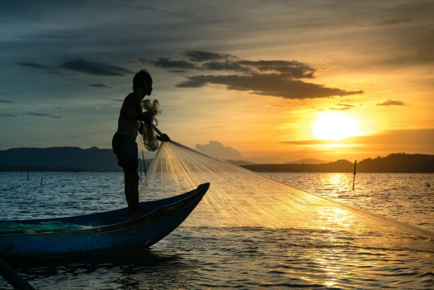 A fishing net full of fish harvested by a man